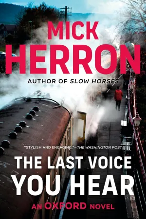 The Last Voice You Hear (The Ze Boehm Thrillers) Paperback  April 14, 2015